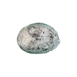 Abalone Shell - Smudge Stick Ash Tray