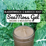 Bladderwrack & Burdock Root Sea Moss Gel, Organic- Wild Crafted *Bryan/College Station ONLY!*