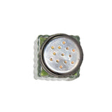 Moringa Food Shaker! Sprinkle on Vitamins!