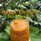 Organic Ginger Turmeric Sea Moss Gel *Bryan/College Station ONLY!*