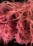 Sea Moss Gel - Wildcrafted- Organic - Bryan/College Station ONLY!