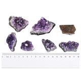 Raw Amethyst crystal cluster